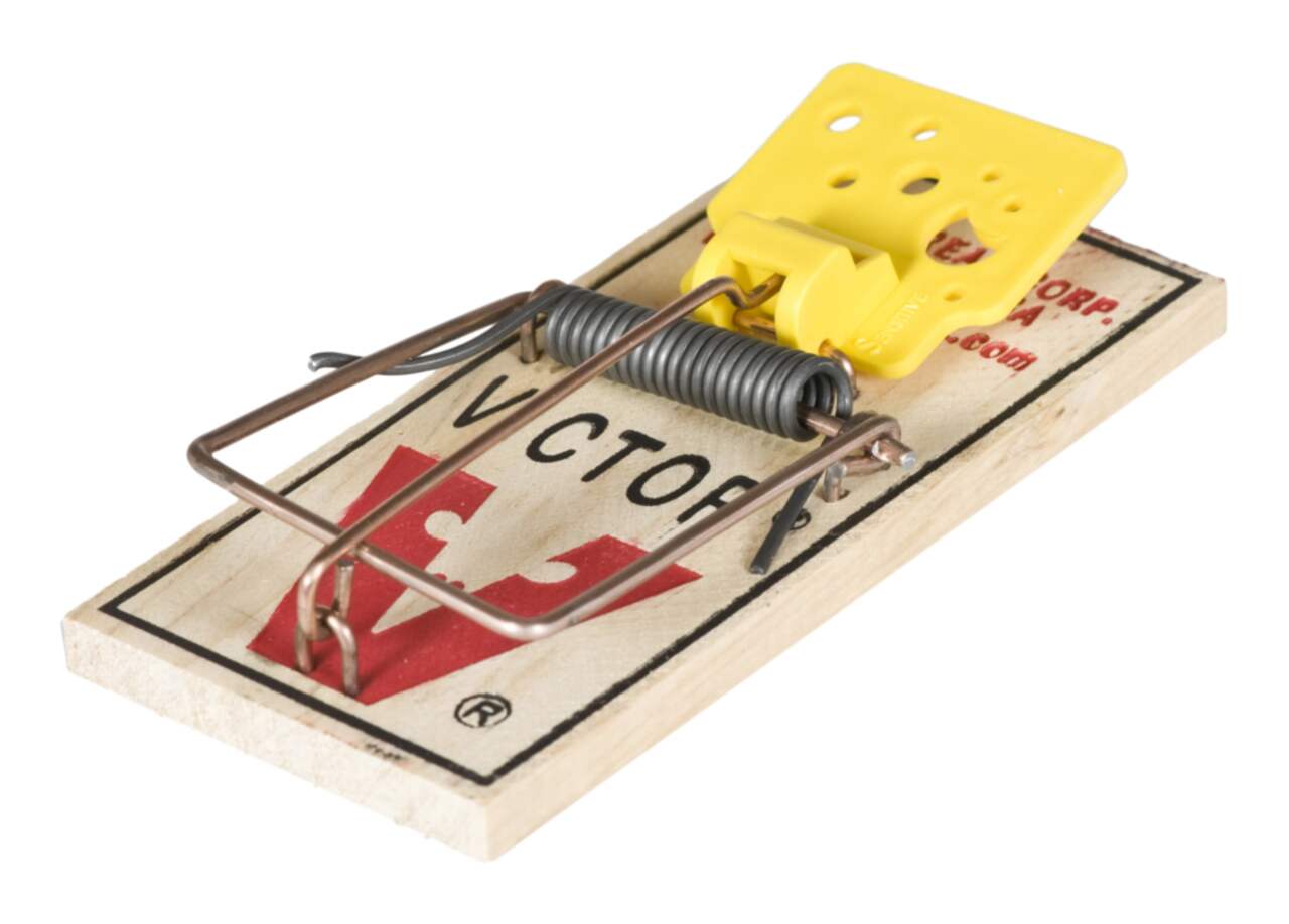 Victor Easy Set Indoor Mouse Trap, 2-pk